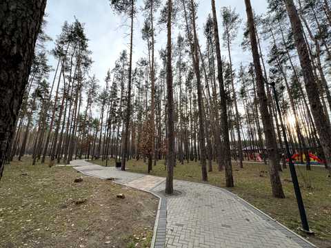 ділянка за адресою вул. Привітна
