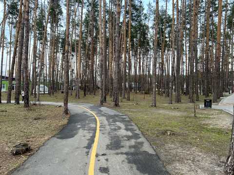 ділянка за адресою вул. Привітна