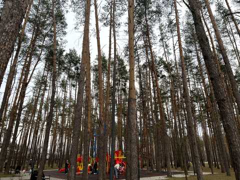 ділянка за адресою вул. Привітна