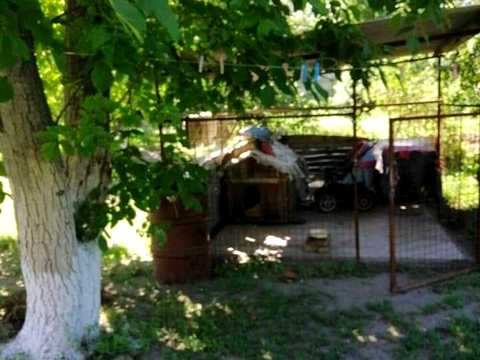 дом по адресу Степная ул.