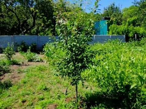 дом по адресу Степная ул.
