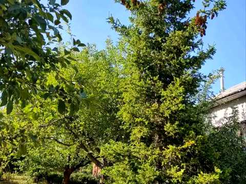 дом по адресу Богдана Хмельницького