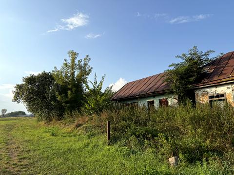 1871510012925314