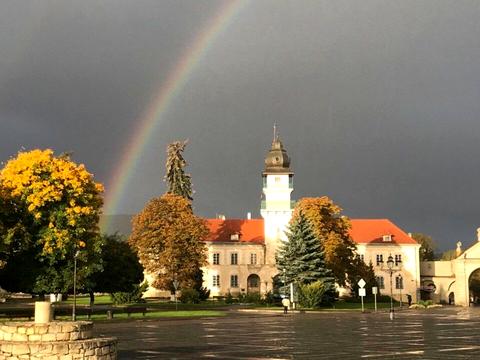 дом по адресу Леси Украинки ул.