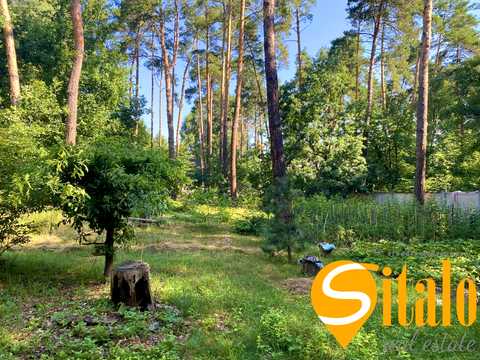 ділянка за адресою Сосновий Бір