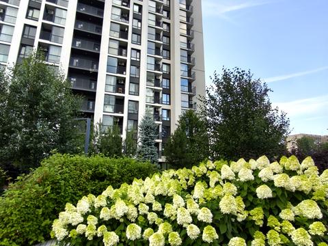 квартира за адресою Вірменська вул., 8