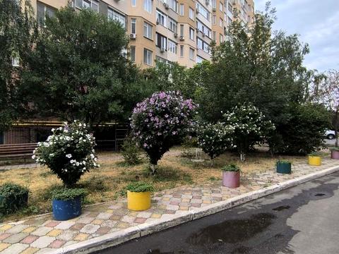 квартира по адресу Академика Заболотного ул., 71 к1