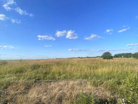 ділянка за адресою с. Лісові Гринівці, 