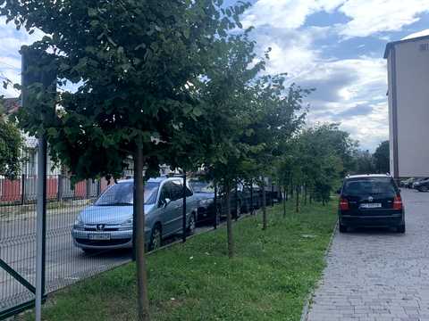 квартира за адресою Софіївка вул., 39-А