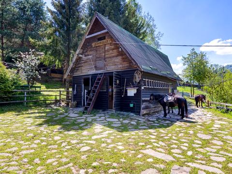 комерційна за адресою Тараса Шевченка вул., 257