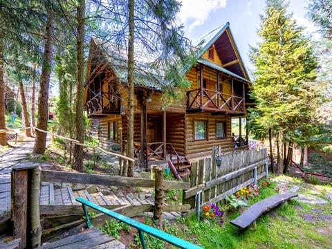 комерційна за адресою Тараса Шевченка вул., 257