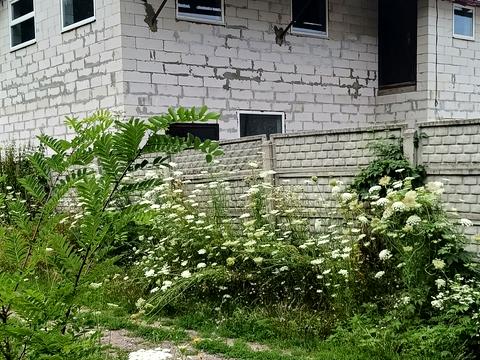 коммерческая по адресу Пр-т Зеленогайський, 58