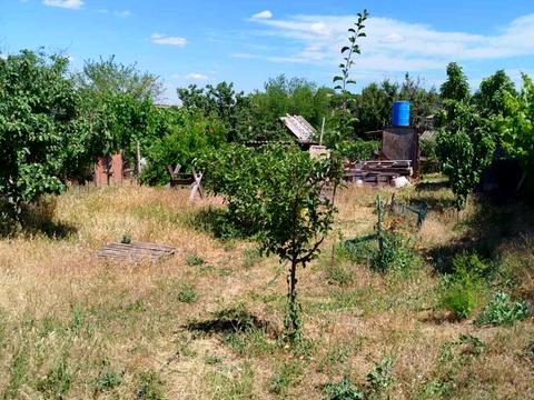ділянка за адресою с. Холодна балка, Агрономічна, 100
