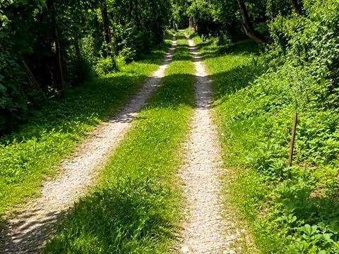 участок по адресу Богдана Хмельницкого ул.