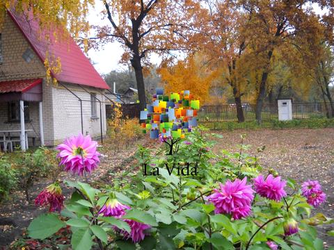 дом по адресу с. Борки, Молодіжна, 7