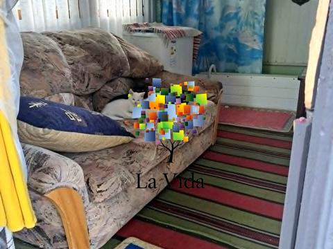 дом по адресу с. Борки, Молодіжна, 7