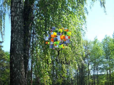 дом по адресу с. Борки, Молодіжна, 7