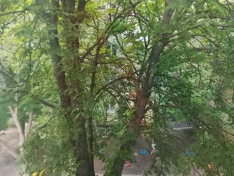 квартира за адресою Небесної Сотні просп. (Маршала Жукова), 37