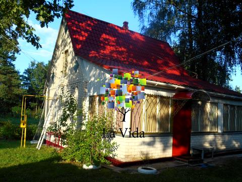 дом по адресу с. Борки, Молодіжна, 7