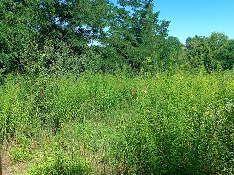 ділянка за адресою 