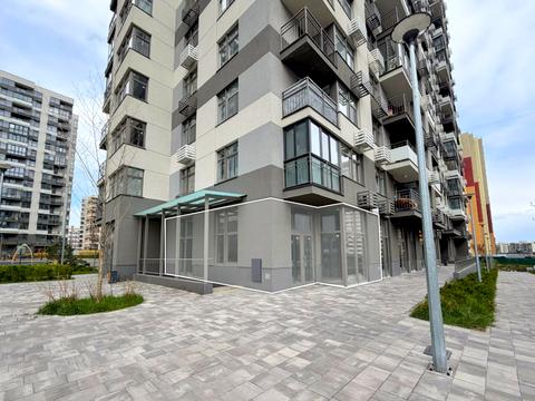 коммерческая по адресу Олександра Олеся ул., 3