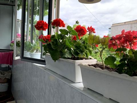 квартира за адресою Мазепи вул., 16