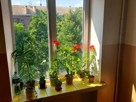 квартира по адресу Богдана Гаврилишина ул. (Ванди Василевської), 15
