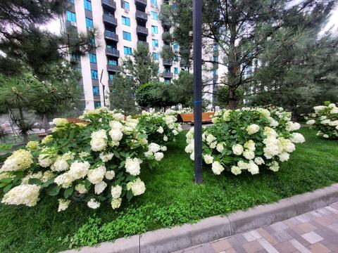 квартира за адресою Героїв Небесної Сотні просп., (Будинок 14/1)