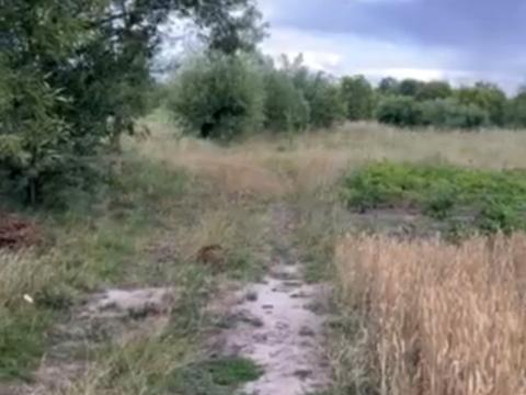 ділянка за адресою 