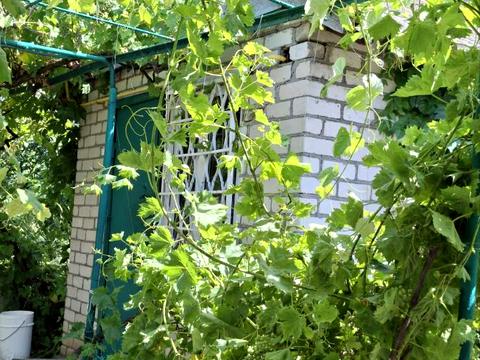 дом по адресу Зелена Балка ул.