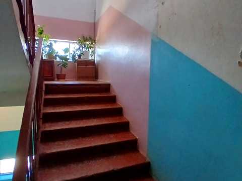 квартира по адресу Ялинкова ул., 5