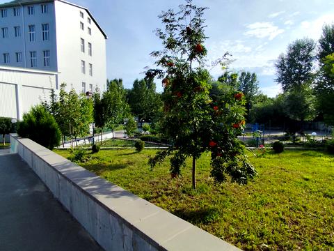 квартира за адресою Букова вул. (Заводу Комсомолець), (Будинок 1)