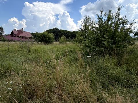 участок по адресу с. Щитки, вулиця Тараса Шевченка