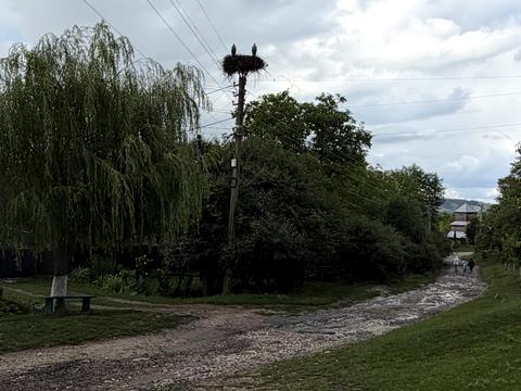будинок за адресою Бутенко, 11