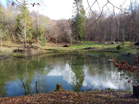 ділянка за адресою смт. Великий Березний, 