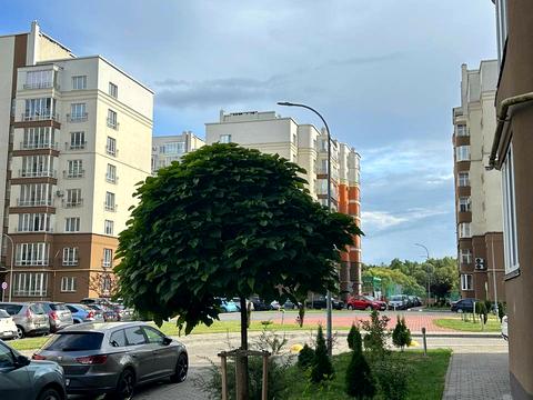 квартира за адресою Стрийська вул., 115