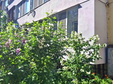 квартира за адресою Євгена Коновальця вул. (Щорса), 35