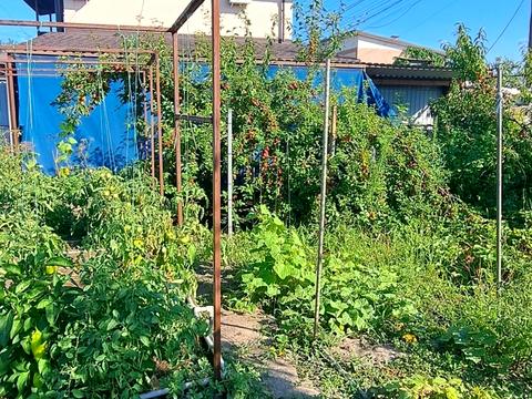 дом по адресу Березанівка