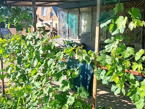 дом по адресу Березанівка