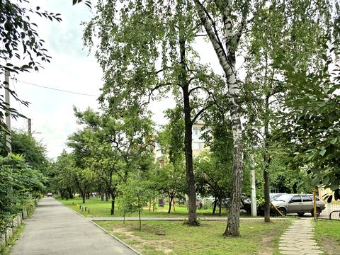 квартира за адресою Харитоненків вул. (Архангельська), 10а