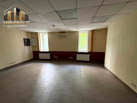 комерційна за адресою Панаса Мирного вул., 28-А