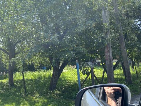 дом по адресу Заставська, 236
