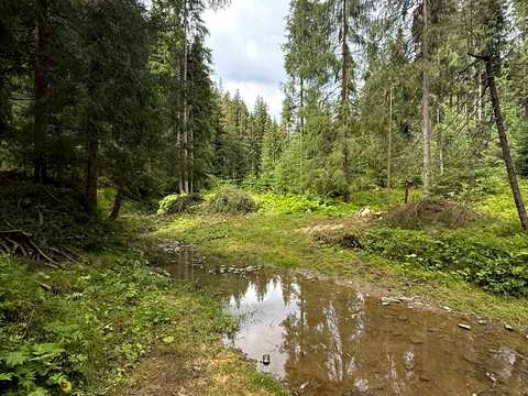 ділянка за адресою 