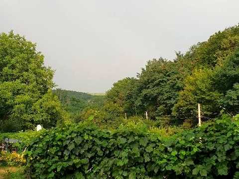 дом по адресу Чорновола, 1