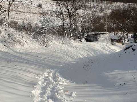 дом по адресу Чорновола, 1