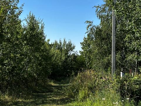 участок по адресу Березова