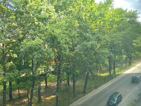 квартира за адресою Багряного вул., 39
