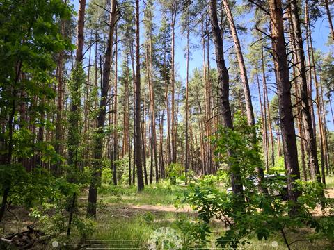 ділянка за адресою Савонівська вул.