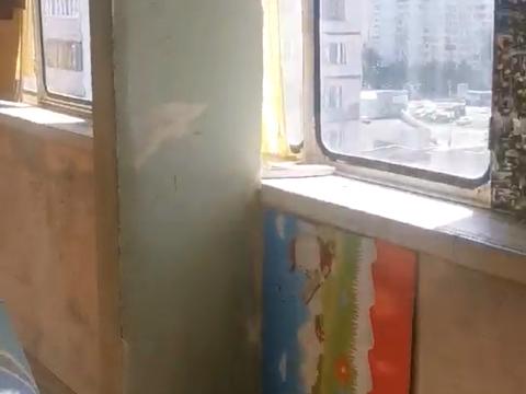 квартира по адресу Александра Мишуги ул., 7