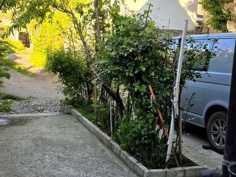 квартира за адресою Отамана Головатого вул., 43